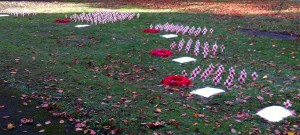 field of remembrance 2